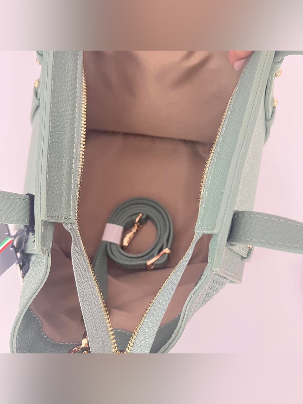 Mint Green Roberta Rossi Women's Italian Leather Medium Wing Satchel Handbag
